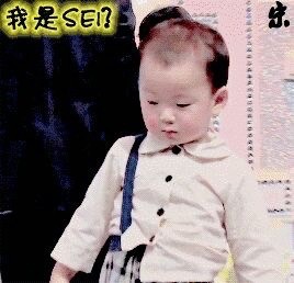 宋民国斗图表情包合集