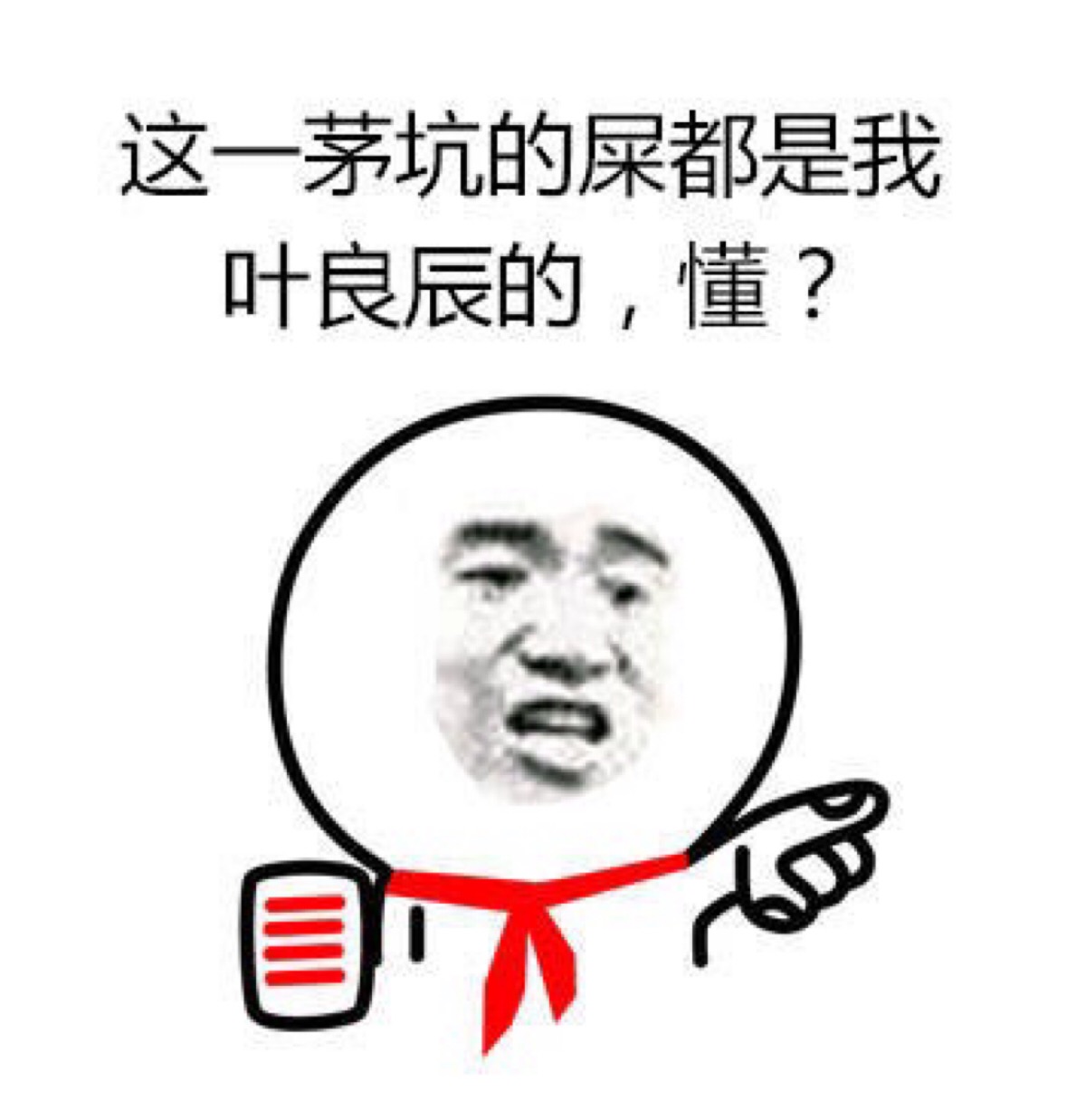 叶良辰经典梗表情包：这一茅坑的屎都是我的
