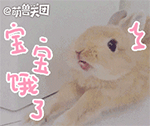 软萌小兔QQ表情包来啦！