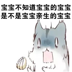 火出圈的仓鼠版绕口令表情包：宝宝的经纪人睡了宝宝的宝宝