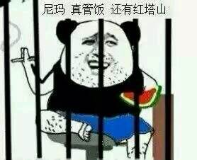 吃瓜群众专属表情包合集