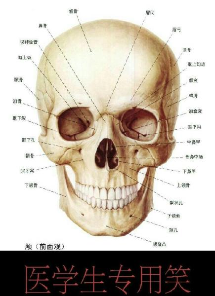 这款骷髅头表情包 医学生斗图专用