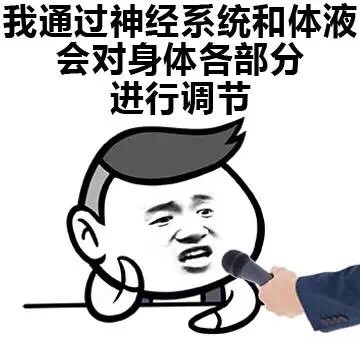 天冷单身党取暖全靠抖？这套表情包精准戳中打工人笑点