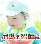 自带吃货属性的宋民国QQ表情包来啦
