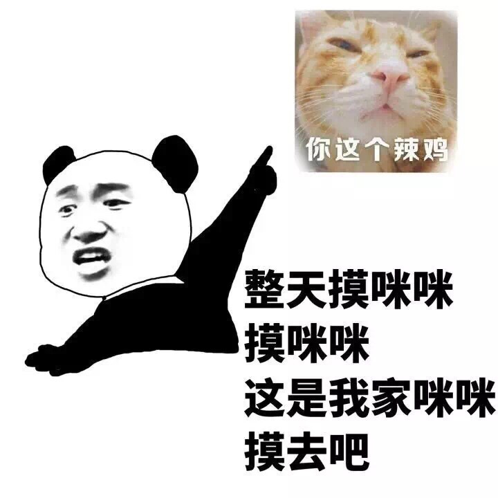 「整天摸咪咪」这套梗图火了，我家咪咪都看笑了