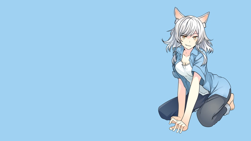 化物语系列绝美猫娘壁纸