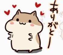 原版仓鼠软萌表情包合集