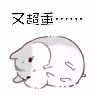 软萌仓鼠表情包合集 斗图氛围感拉满