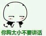 金馆长版“你胸太小不要讲话”表情包合集