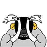 卷卷羊QQ表情包合集来啦