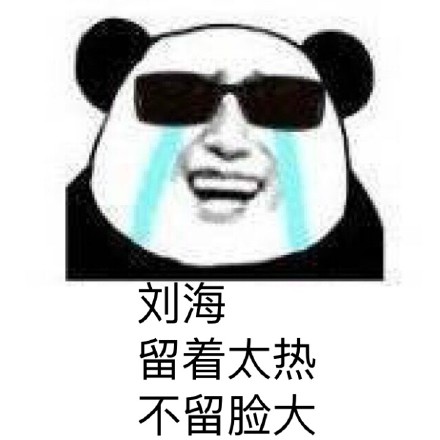 熊猫金馆长版「人生到底是什么不太懂」表情包合集