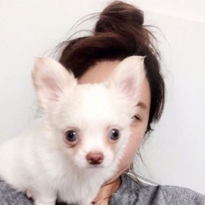 34张高清清纯少女头像 氛围感拉满的干净女生头像合集