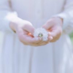 手控党看过来！14张清新风女生手部高清头像合集