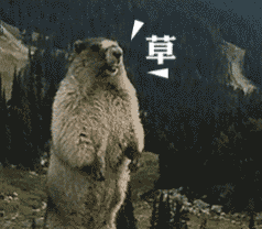 谁懂啊！咆哮山鼠土拨鼠表情包又火了