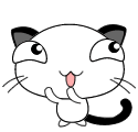 超萌贪婪猫表情包合集，斗图必备！