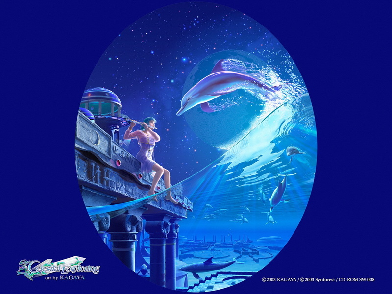 梦幻二次元海豚漫游蓝调星穹 治愈系高清壁纸