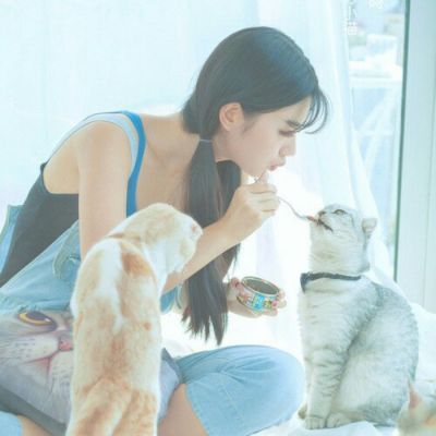 18张高清唯美QQ女生抱猫头像合集