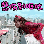 新版朱碧石QQ表情包来啦
