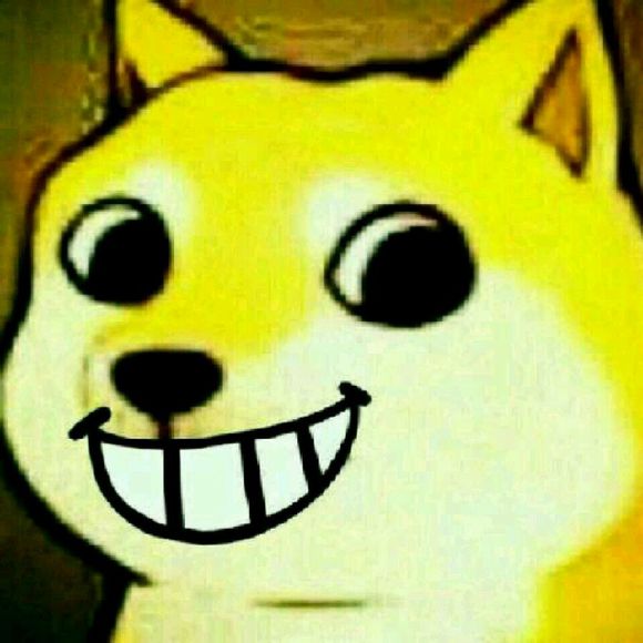 超实用！神烦狗Doge可爱表情包合集