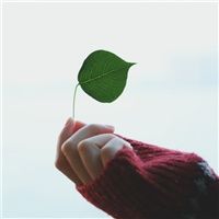 手控党看过来！14张清新风女生手部高清头像合集