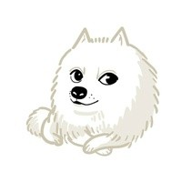 doge狗狗表情包合集来啦