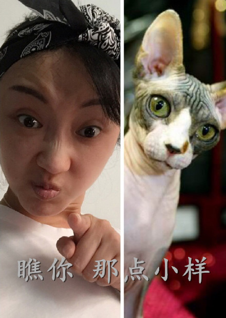 大话西游3相关张瑶表情包合集来了