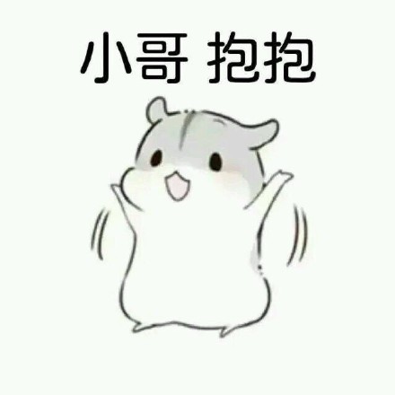 可爱仓鼠表情包合集 聊天斗图超好用