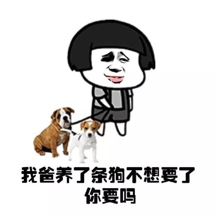 我爸养的狗不想养了，转给你？（单身狗梗版）