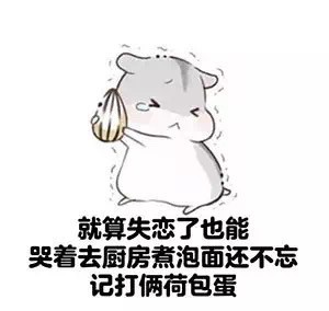 圆滚滚仓鼠表情包合集，可爱又戳中打工人痛点