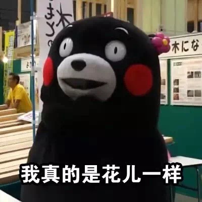 用熊本熊怼人？百度搜不到的这套表情包，搜狗能找到