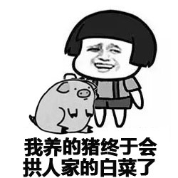 这款金馆长表情包火了：从此我就亮了