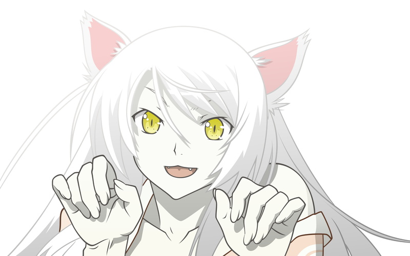 化物语系列猫耳少女壁纸合集