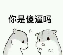 超治愈！这套仓鼠表情包太适合斗图了