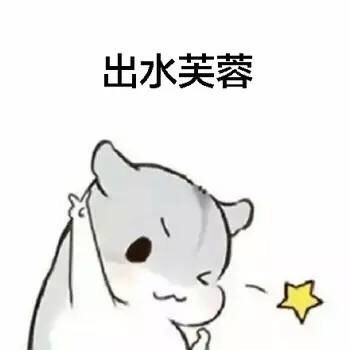 女生版仓鼠斗图梗！“有的女生像白莲花”表情包整活来了