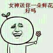 求恋爱专用表情包合集！做我女朋友吧系列