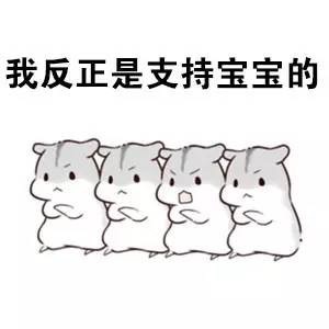 火出圈的仓鼠版绕口令表情包：宝宝的经纪人睡了宝宝的宝宝
