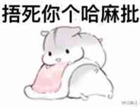 超治愈！这套仓鼠表情包太适合斗图了