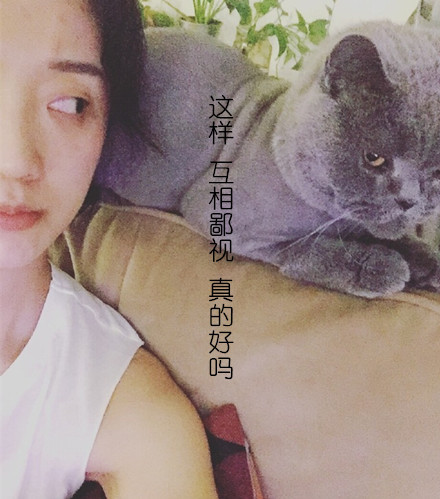 大话西游3相关张瑶表情包合集来了