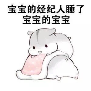 火出圈的仓鼠版绕口令表情包：宝宝的经纪人睡了宝宝的宝宝