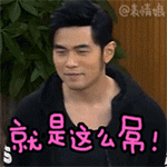 周杰伦新歌声主题QQ表情包来啦