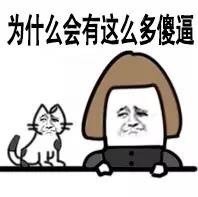 金馆长和狗子的搞笑表情包来了！我俩看完直接笑出声