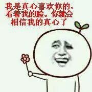 求恋爱专用表情包合集！做我女朋友吧系列