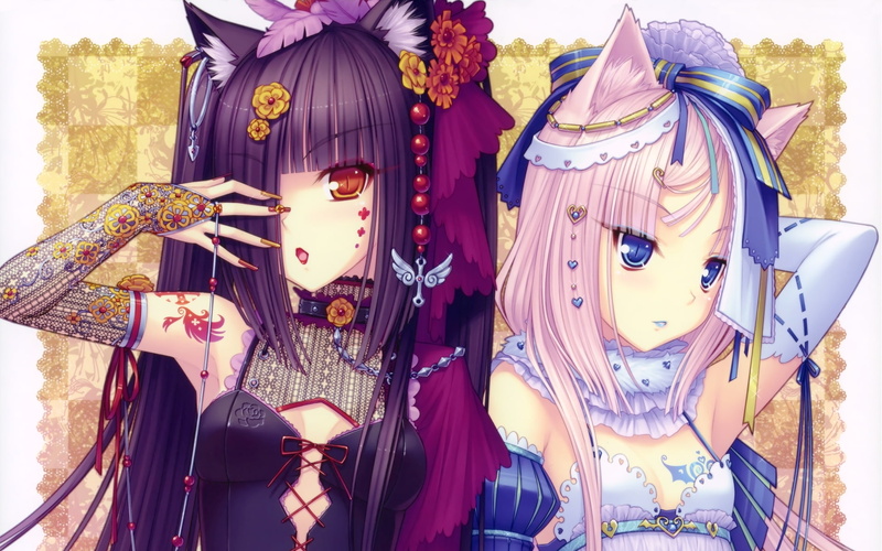 绝美猫娘壁纸合集！蓝眼粉发少女高清美图