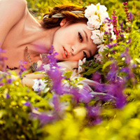 女生薰衣草微信头像！11张氛围感拉满的唯美素材来啦