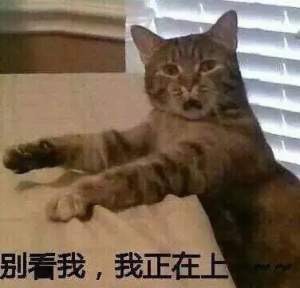 谁去帮我把灯关一下[doge]