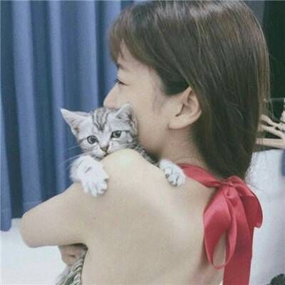 18张高清抱猫女生头像 温柔又治愈的微信头像合集