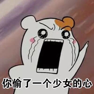 仓鼠管家搞怪表情包合集