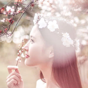 23张梦幻樱花女生头像！高清唯美氛围感拉满