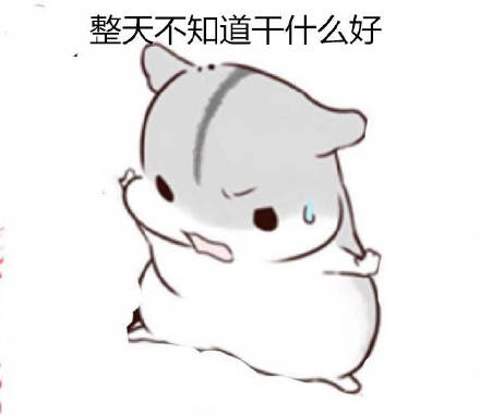 打工人摸鱼必备！这套仓鼠日常表情包太懂我了