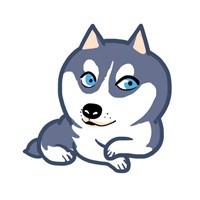 doge狗狗表情包合集来啦